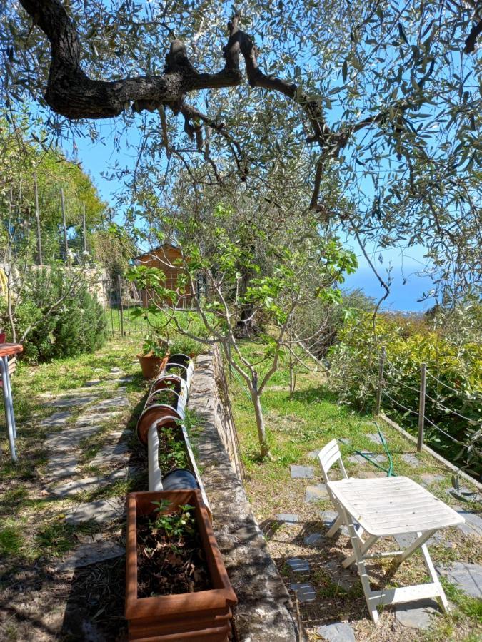 La Casa Di Elda Apartment Sanremo Luaran gambar