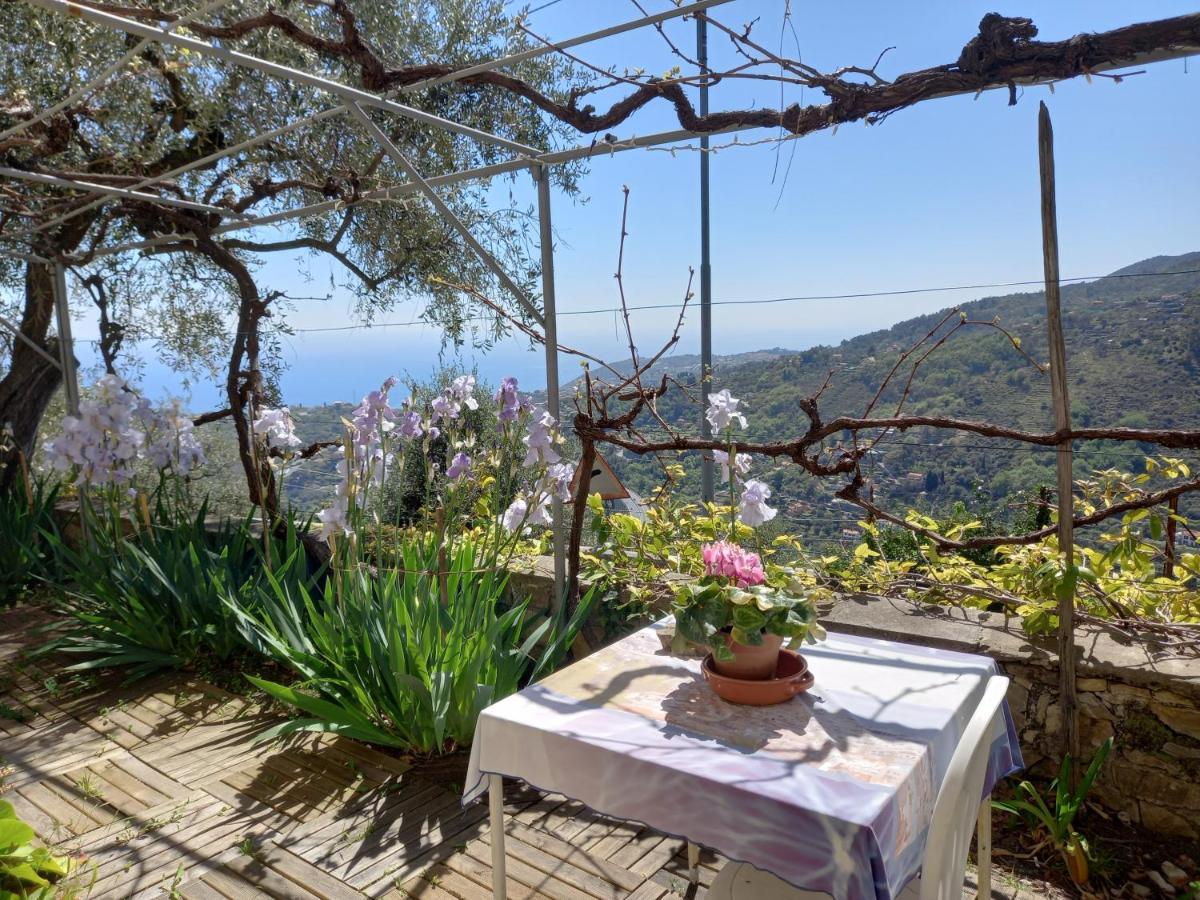 La Casa Di Elda Apartment Sanremo Luaran gambar